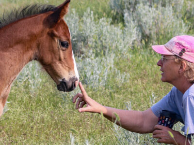 Kristin saying hello to a young foal
